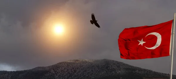 Waving Turkish Flag Sun Birds — ストック写真