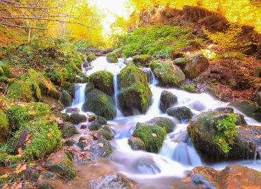 Natural life park and panoramic view. Yedigller or Yedigller National Park in Turkey