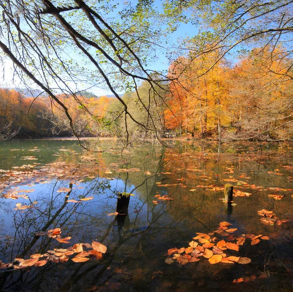 Natural Life Park Panoramic View Yedigller Yedigller National Park Turkey — 스톡 사진