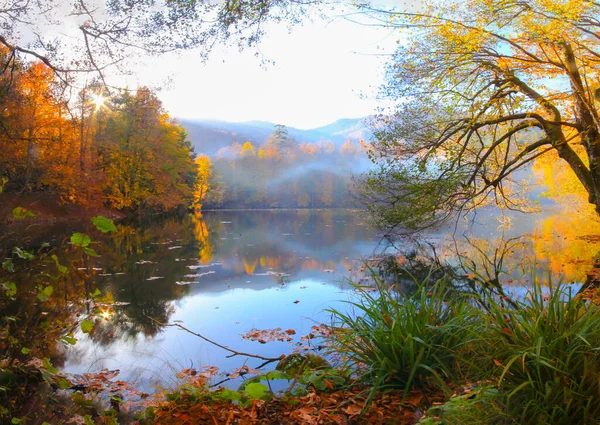 Natural Life Park Panoramic View Yedigller Yedigller National Park Turkey — Zdjęcie stockowe