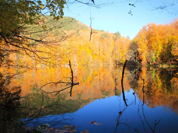 Natural Life Park Panoramic View Yedigller Yedigller National Park Turkey — Photo