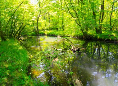 Longozlar and panorama shooting / Kiyikoy village, Vize district, Kirklareli province, Turkey