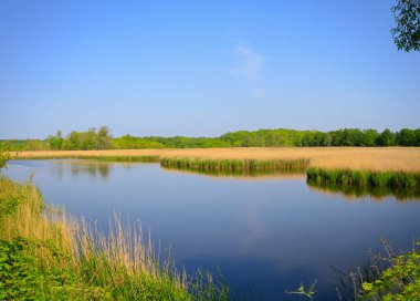 Longozlar and panorama shooting / Kiyikoy village, Vize district, Kirklareli province, Turkey