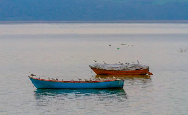 Bateau Pêche Dans Village Golyazi Turquie — Photo