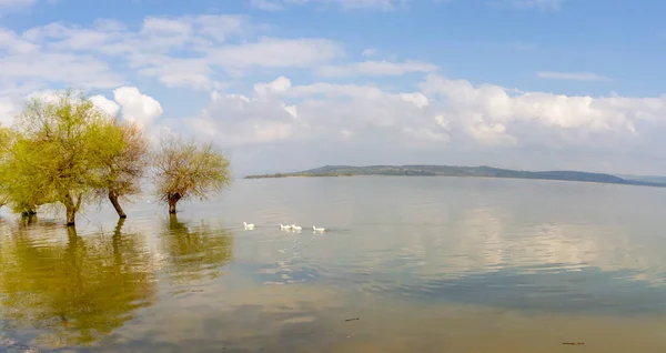 Bateau Pêche Dans Village Golyazi Turquie — Photo