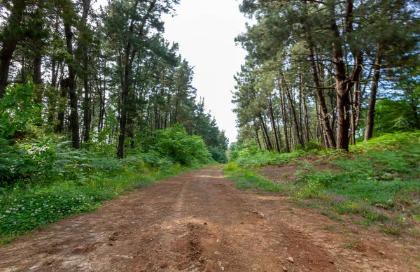 Весняний Сезон Скелі Курортного Міста Керп Узбережжі Чорного Моря Кандіра — стокове фото