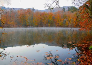 Yedigoller Park Bolu, Türkiye 'de sonbahar manzarası (yedi göl)