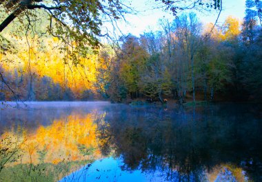 Yedigoller Park Bolu, Türkiye 'de sonbahar manzarası (yedi göl)