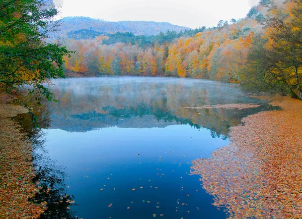 Herfstlandschap Zeven Meren Yedigoller Park Bolu Turkije — Stockfoto