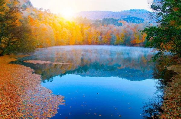 Paisagem Outono Sete Lagos Yedigoller Park Bolu Turquia — Fotografia de Stock