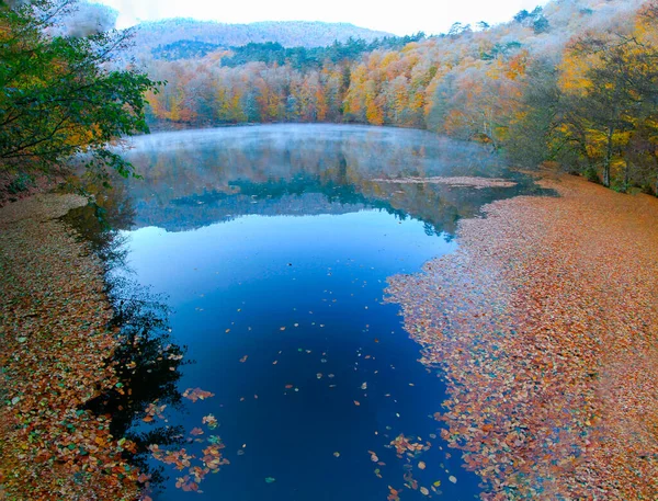 Herfstlandschap Zeven Meren Yedigoller Park Bolu Turkije — Stockfoto