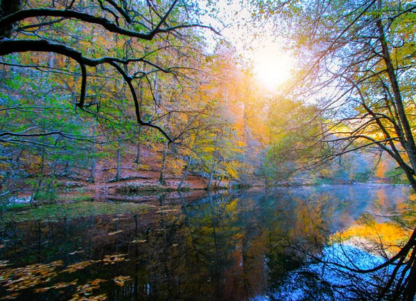 Jesienny Krajobraz Siedem Jezior Yedigoller Park Bolu Turcja — Zdjęcie stockowe