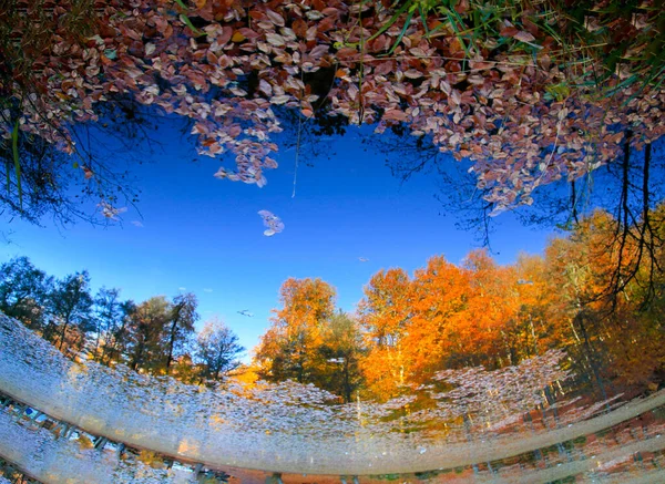 Autumn Landscape Seven Lakes Yedigoller Park Bolu Turkey — Stock Photo, Image