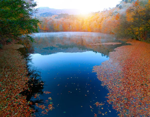 Herfstlandschap Zeven Meren Yedigoller Park Bolu Turkije — Stockfoto