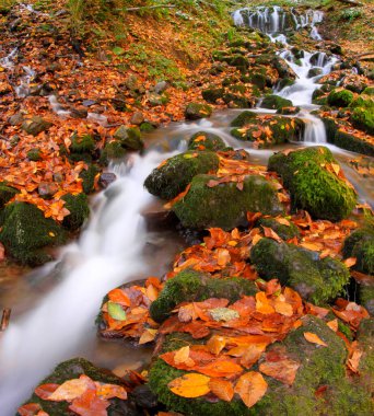 Yedigoller Ulusal Parkı 'ndaki (yedi gölde) ahşap evle güzel sonbahar manzarası. Bolu, Türkiye 'nin kuzeybatısında bir ildir..