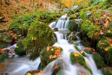 Beautiful autumn views with wooden house in (seven lakes) Yedigoller National Park. Bolu is a province in northwestern Turkey.