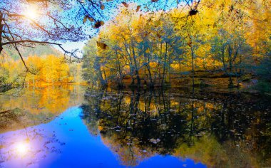 Beautiful autumn views with wooden house in (seven lakes) Yedigoller National Park. Bolu is a province in northwestern Turkey.