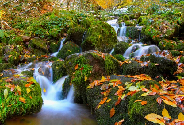 Beautiful Autumn Views Wooden House Seven Lakes Yedigoller National Park — Stock Photo, Image