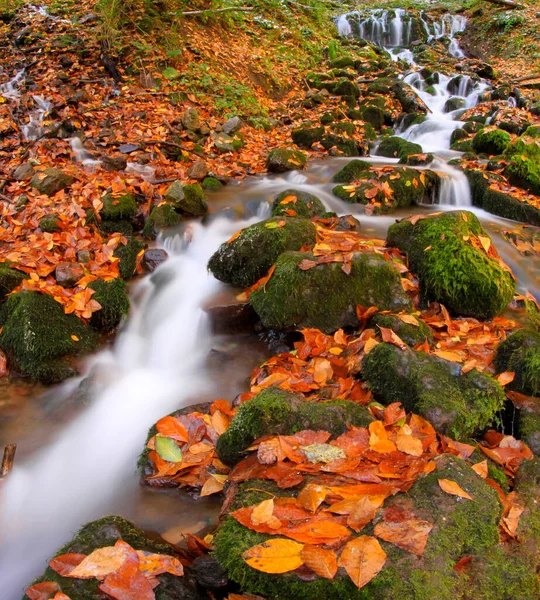 Beautiful Autumn Views Wooden House Seven Lakes Yedigoller National Park — стокове фото