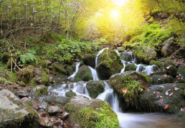 Yedigoller or Seven Lakes National Park in Turkey