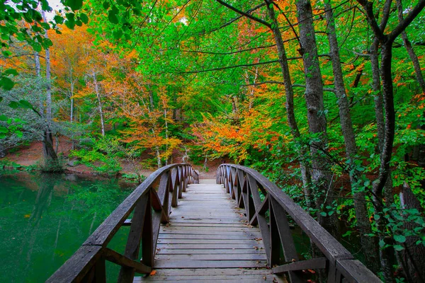 Yedigoller or Seven Lakes National Park in Turkey