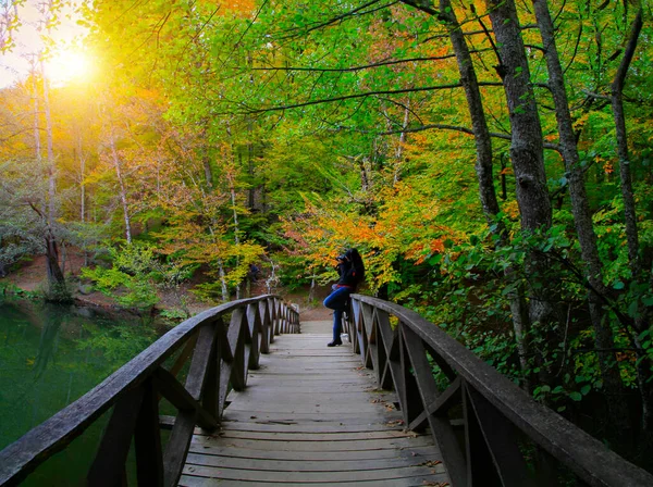 Yedigoller Seven Lakes National Park Turkey — 스톡 사진