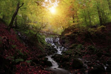 Yedigoller or Seven Lakes National Park in Turkey