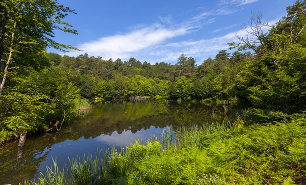 Yalova, Erikli plateau and bottomless lake