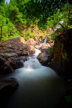 Ormanda şelale manzarası. Erikli şelalesi, Yalova.
