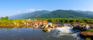 Efteni Gölü ile nilüfer ve Düzce, Türkiye'de uzun İskelesi.