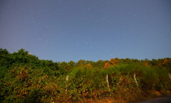 Seaside night star photography and astrophotography