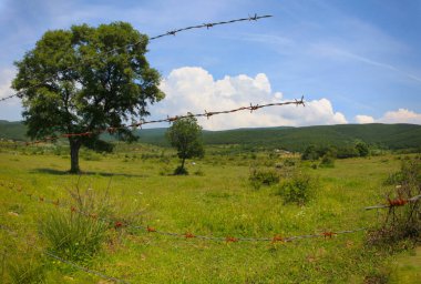 Van lake shore and view