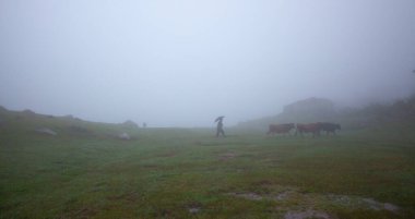 Kodz plateau, one of the most beautiful plateaus of Kakar Mountains, is one of the favorite places of tourists with its lakes and natural life.