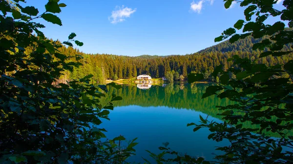 Savsat Artvin Turkey Black Lake Karagol National Park Black Sea — 스톡 사진