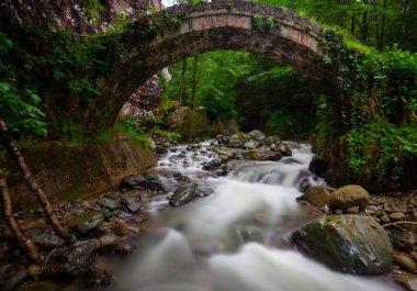 Kackarlar national park, creeks and historical stone bridges, The region that best describes the natural life