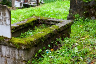 Kackarlar national park, creeks and historical stone bridges, The region that best describes the natural life