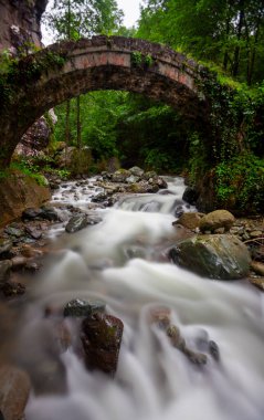 Kackarlar national park, creeks and historical stone bridges, The region that best describes the natural life