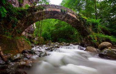 Kackarlar national park, creeks and historical stone bridges, The region that best describes the natural life