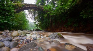 Kackarlar national park, creeks and historical stone bridges, The region that best describes the natural life