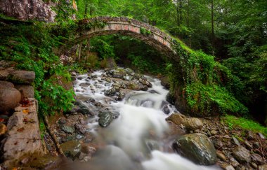 Kackarlar national park, creeks and historical stone bridges, The region that best describes the natural life