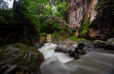 Kackarlar national park, creeks and historical stone bridges, The region that best describes the natural life