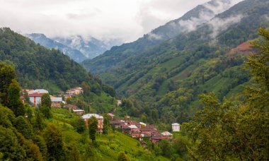 Kackarlar national park, creeks and historical stone bridges, The region that best describes the natural life