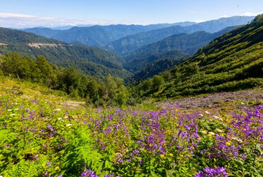 The dam lake of Deriner dam in Artvin province.