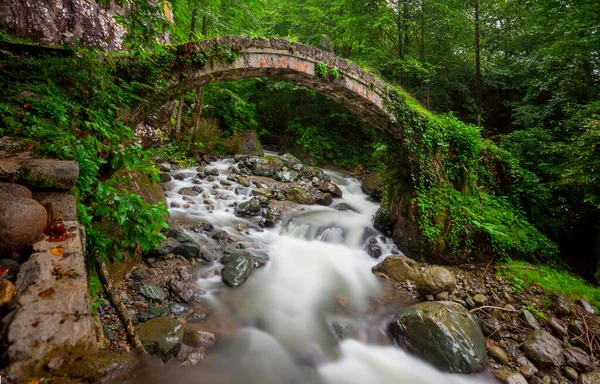 Kackarlar national park, creeks and historical stone bridges, The region that best describes the natural life