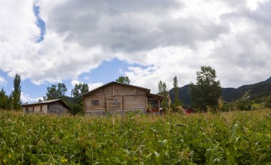avat is the town and center of Artvin province, at the eastern end of the Black Sea Region. The name avat comes from the Georgian aveti and the town of avat is one of the settlements of the historical aveti region.