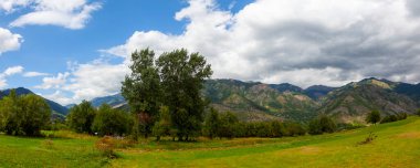 avat is the town and center of Artvin province, at the eastern end of the Black Sea Region. The name avat comes from the Georgian aveti and the town of avat is one of the settlements of the historical aveti region.