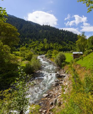 avat is the town and center of Artvin province, at the eastern end of the Black Sea Region. The name avat comes from the Georgian aveti and the town of avat is one of the settlements of the historical aveti region.