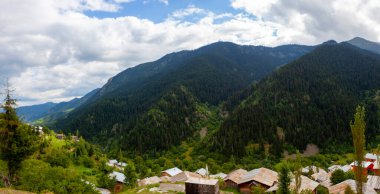 avat is the town and center of Artvin province, at the eastern end of the Black Sea Region. The name avat comes from the Georgian aveti and the town of avat is one of the settlements of the historical aveti region.