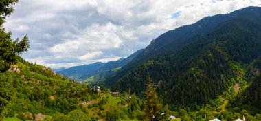 avat is the town and center of Artvin province, at the eastern end of the Black Sea Region. The name avat comes from the Georgian aveti and the town of avat is one of the settlements of the historical aveti region.