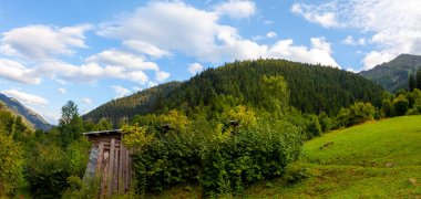 avat is the town and center of Artvin province, at the eastern end of the Black Sea Region. The name avat comes from the Georgian aveti and the town of avat is one of the settlements of the historical aveti region.